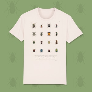 May include: White t-shirt featuring a vintage illustration of 16 different types of beetles. The beetles are drawn in detail and are arranged in a grid pattern. The text below the beetles reads: "Coleoptera. Buprestis & Cetonia.  "  "Scarabaeus pilularius.  "  "Copris Midas.  "  "Cetonia aurata.  "  "Geotrupes stercorarius.  "  "Melolontha vulgaris.  "  "Lucanus cervus.  "  "Buprestis splendens.  "  "Cetonia aurata.  "  "Scarabaeus sacer.  "  "Cetonia aurata.  "  "Geotrupes stercorarius.  "  "Melolontha vulgaris.  "  "Lucanus cervus.  "  "Buprestis splendens.  "  "Cetonia aurata.  "