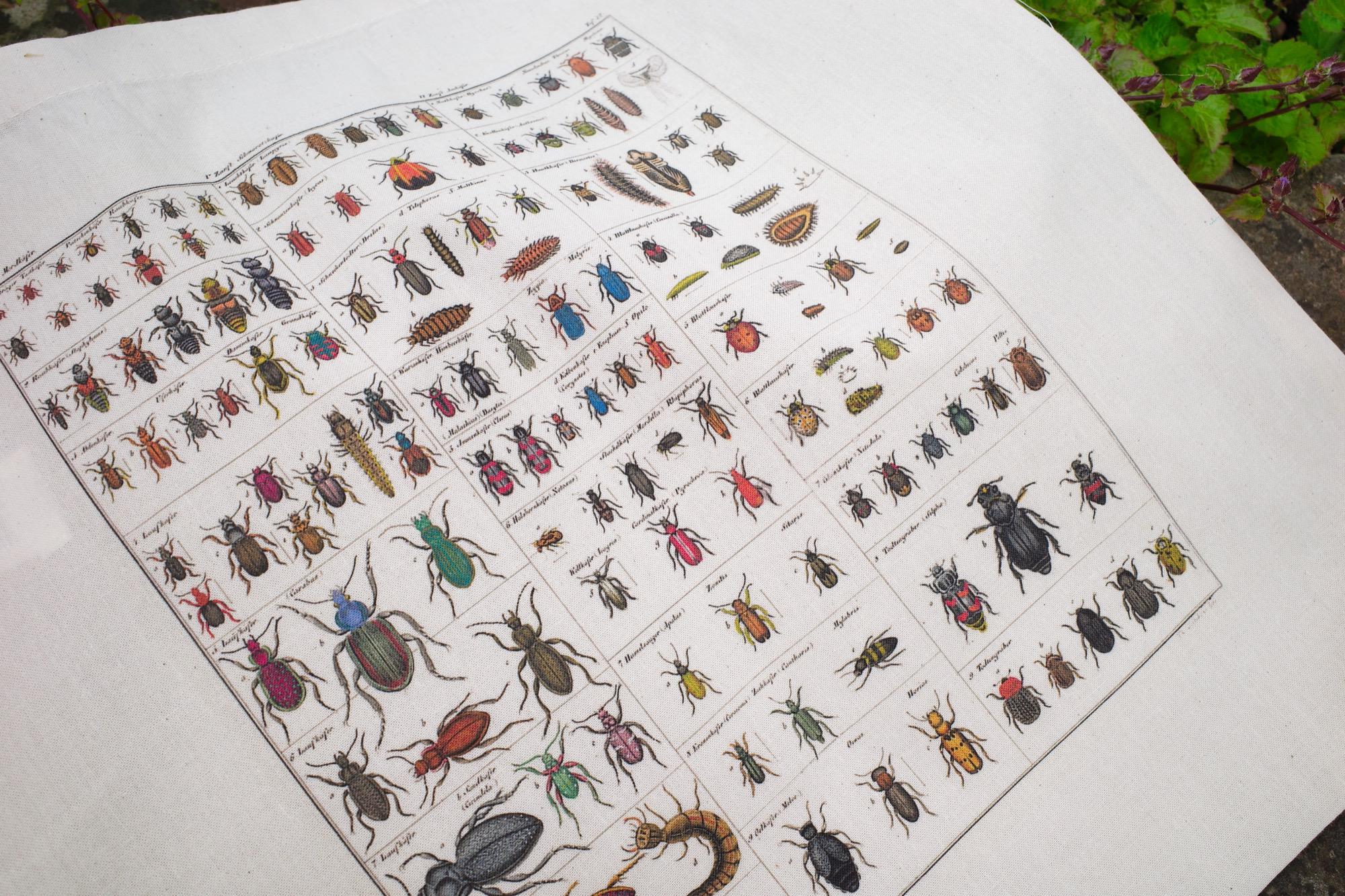 Insects Tote Bag - Insect Shopper, Bug Canvas Shopping, Entomology Tote ...