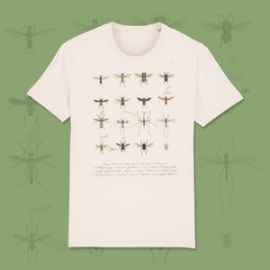 May include: A white t-shirt featuring a vintage illustration of 18 different types of insects. The insects are drawn in detail and are labelled with their scientific names. The text on the shirt reads: "1. Tipula, 2. Bibio, 3.  Magnoptera, 4.  Stratiomys, 5.  Bombylius, 6.  Tabanus, 7.  Psilopus, 8.  Rhagio, 9.  Conops, 10.  Asilus, 11.  Nemestrina, 12.  Xylophaga, 13.  Pangonia, 14.  Leptis, 15.  Thereva, 16.  Sargus, 17.  Syrphus, 18.  Syrphus.