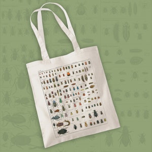 Borsa tote con insetti - Shopper con insetti, Borsa shopping in tela con insetti, Borsa tote con entomologia, Stampa con insetti, Stampa con insetti, Stampa con entomologia, Stampa vintage, Maglietta con insetti