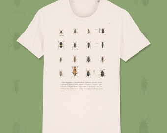 Insects Unisex T-Shirt - Insect Tshirt, Bug Tshirt, Entomology Tshirt, Insect Print, Bug Print, Entomology Print, Vintage Print, Bugs Tee