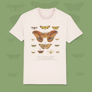 May include: A white t-shirt featuring a vintage illustration of different butterflies and moths. The design includes a large brown and orange moth in the centre, surrounded by smaller butterflies in shades of yellow, brown, and white. The t-shirt has a crew neck and short sleeves.