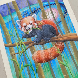 Carta panda rossa, carta ecologica, arte panda rossa, carta della fauna selvatica, biglietto di auguri riciclato,