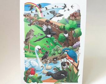 Birds postcards, British birds, bird art cards, eco friendly postcards, recycled cards, postcard set, bird lover gifts, cards for friends