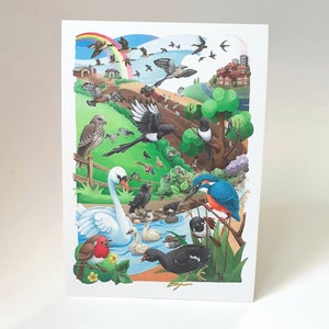 Vogelpostkarten, britische Vögel, Vogelkunstkarten, Eco freundliche Postkarten, recycelte Karten, Postkartenset, Geschenke für Vogelliebhaber, Karten für Freunde