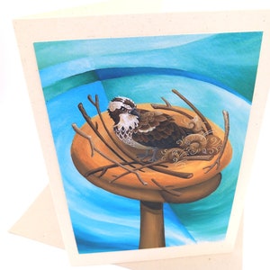 Visarend-kunstkaart, milieuvriendelijke kaart, Visarend-vogel op nest, vogelwachtkaart, Rutland Water Visarend, roofvogelkaart,