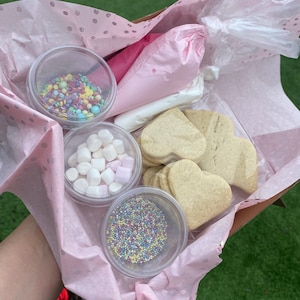 DIY Heart Sugar Cookie Decorating Kit: Royal Icing & Sprinkles