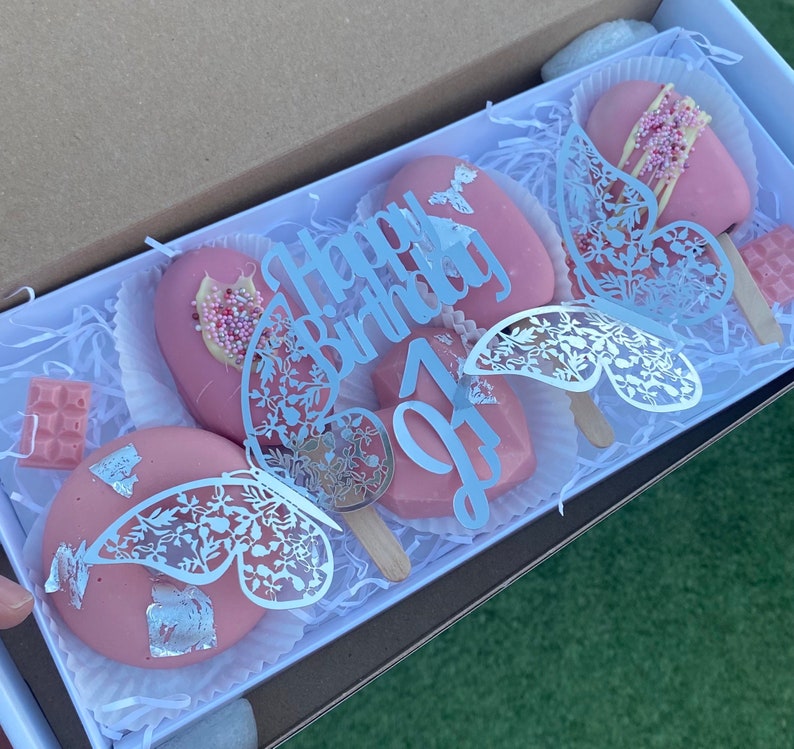 Cakesicles Birthday Cakesicles Treat Box Large Treat Box Etsy