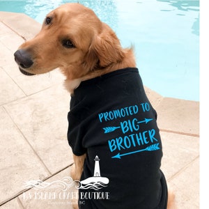 Dog Brother Shirt Etsy Canada