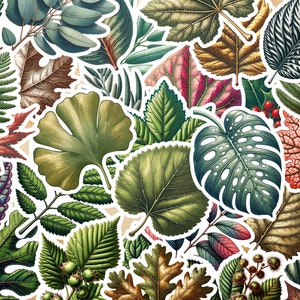 Autocollants FEUILLES