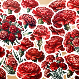 CARNATIONS Stickers
