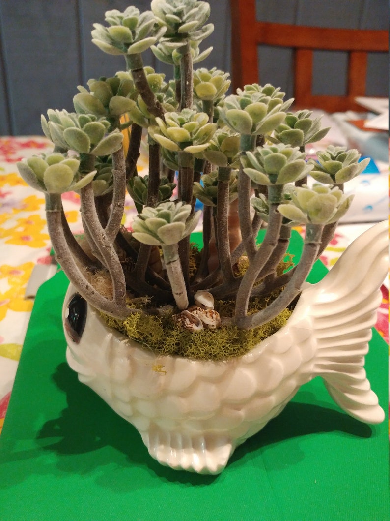 Vintage Fish Planter with Succulent faux plant in vintage white FISH planter Rooter Flower Display BIG EYED Fish