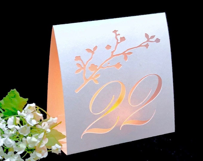 Blossom Branch Table Number Luminary: Elegant Wedding Decor