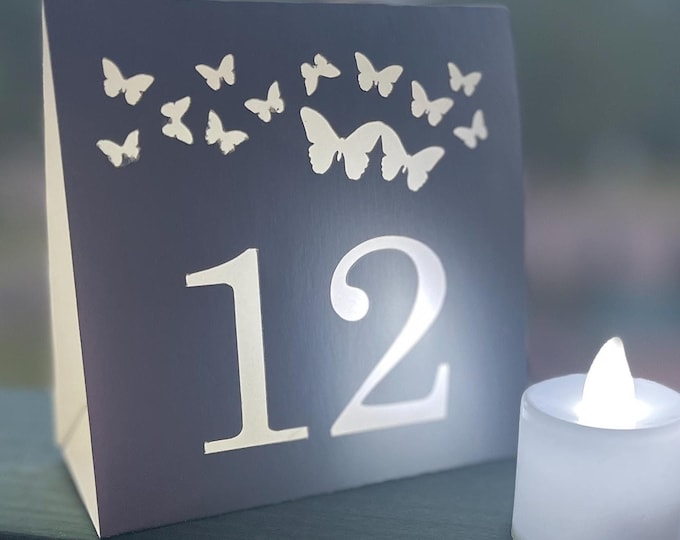 Butterfly Table Number Luminaries: Wedding Reception Decor