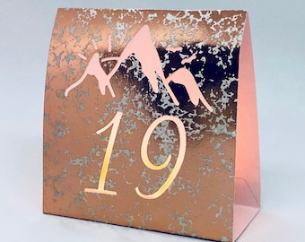 Mountain Table Numbers are made from Copper Mercury Glass or white card stock. These Wedding Luminaries set the rustic western mood.