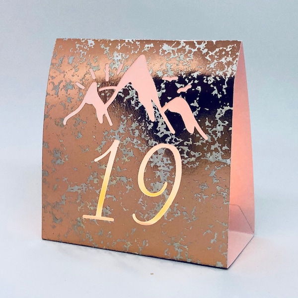 Mountain Table Numbers are made from Copper Mercury Glass or white card stock. These Wedding Luminaries set the rustic western mood.