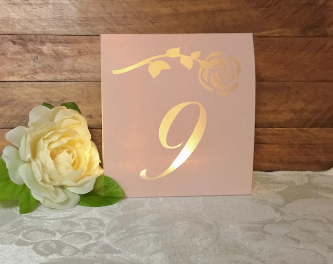 Rose Wedding Table Number Luminary: Shimmer Pearl, Cream Vanilla, or Blush Pink