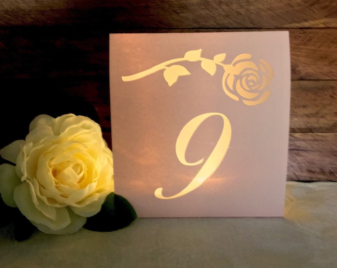 Rose Wedding Table Number luminaries for your Spring or Summer Wedding will set the mood and glow with a romantic light.