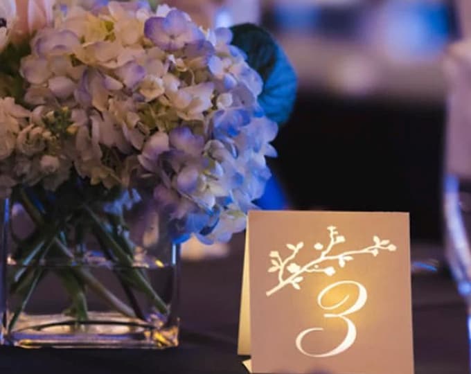 Blossom Branch Table Number Luminary: Elegant Wedding Decor