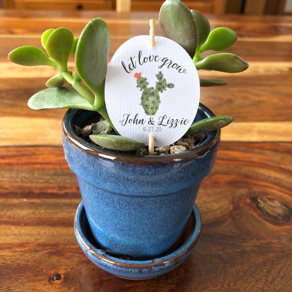 LET LOVE GROW baby shower favor tags are personalized. Great for succulent favors!  Free Shipping included.
