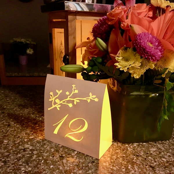 Cherry Blossom Table Number Luminaries made with card stock. The glow of the light through the cut out design brings romance to every table.