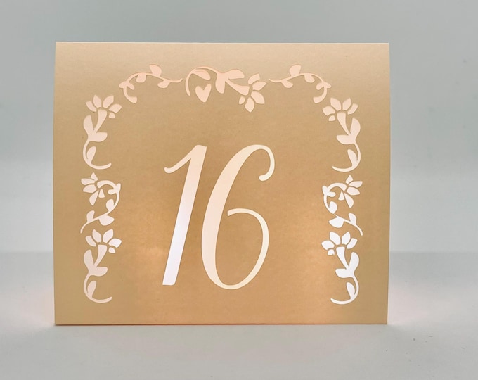 Pastel Cardstock Table Number Luminaries: Wedding Reception Decor