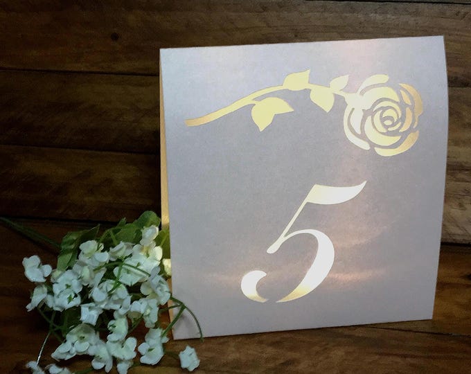 Rose Wedding Table Number Luminary: Shimmer Pearl, Cream Vanilla, or Blush Pink