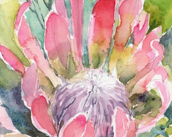 Protea Watercolor Print, Protea Painting, Floral Illustration, Colorful Wall Art, Giclee Art Print
