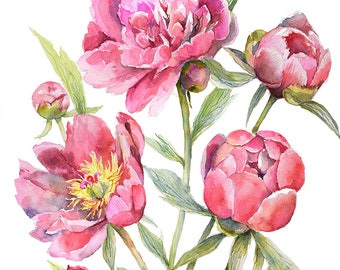 Floral Watercolor Print, Floral Painting, Peonies Print Art, Peony Wall Decor, Pink Flowers Print Art, Botanical Wall Print,Bedroom Wall Art