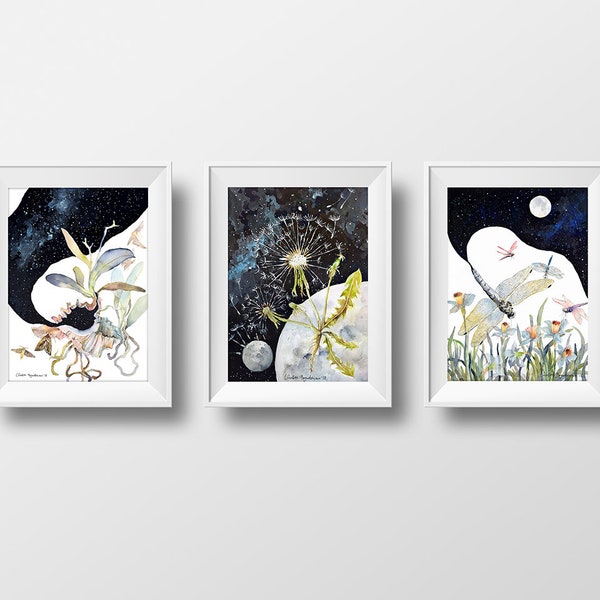 Print set of 3 Cosmos Space Giclee Print Set Wall Art Dandelion Print Dragonfly Botanical Prints Plants Print Print Set of Three Surreal Art