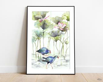 May include: Watercolor painting of two purple swamphens wading in a pond, surrounded by green lily pads and a pink lotus flower. A dragonfly hovers above the lily pads. The artwork is framed in a black frame.
