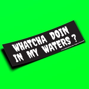 Cosa fai nelle mie acque? - Adesivo per paraurti o magnete 10" x 3" - Impermeabile - Resistente ai raggi UV/graffi
