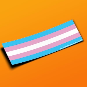 Trans Pride LGBTQ - Adesivo per paraurti o magnete 10" x 3" - Impermeabile - Resistente ai raggi UV/graffi
