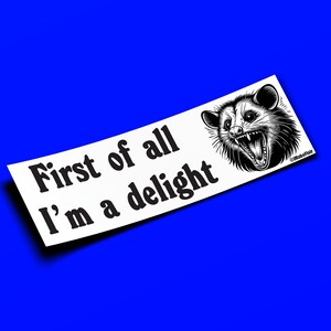 First Of All I'm A Delight - Adesivo per paraurti o magnete 10" x 3" - Impermeabile - Resistente ai raggi UV/graffi