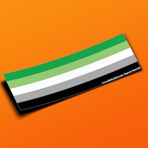 Aromantic Pride LGBTQ - Adesivo per paraurti o magnete 10" x 3" - Impermeabile - Resistente ai raggi UV/graffi