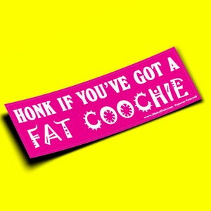 Honk If You've Got A Fat Coochie - Adesivo per paraurti o magnete 10" x 3" - Impermeabile - Resistente ai raggi UV/graffi