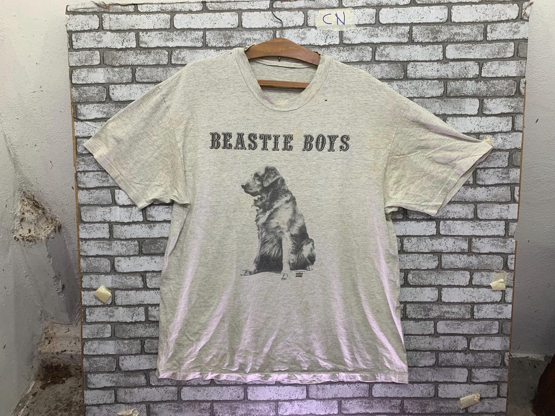 1994 Beastie Boys Some Old Bullshit Shirt – WyCo Vintage