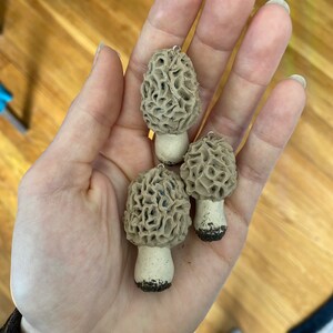 Morel Mushroom Pendant