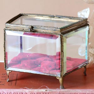 Antikes Beveled Glass Schmuckkästchen: Französischer Ormolu-Rahmen, roter Samt