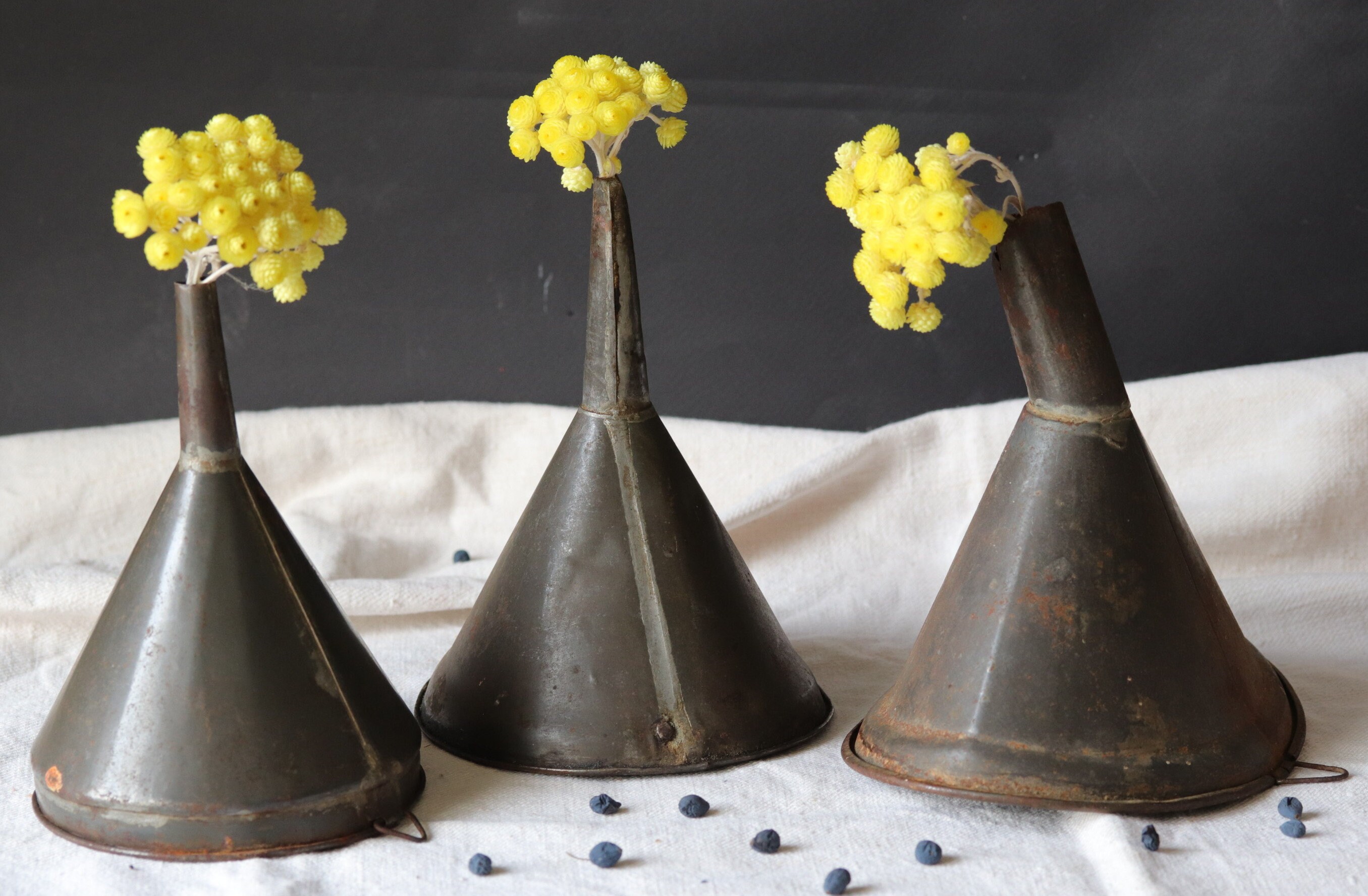 Ensemble de 3 Entonnoirs Métalliques Antiques, Collection Instantanée, Industriel, Steampunk, França