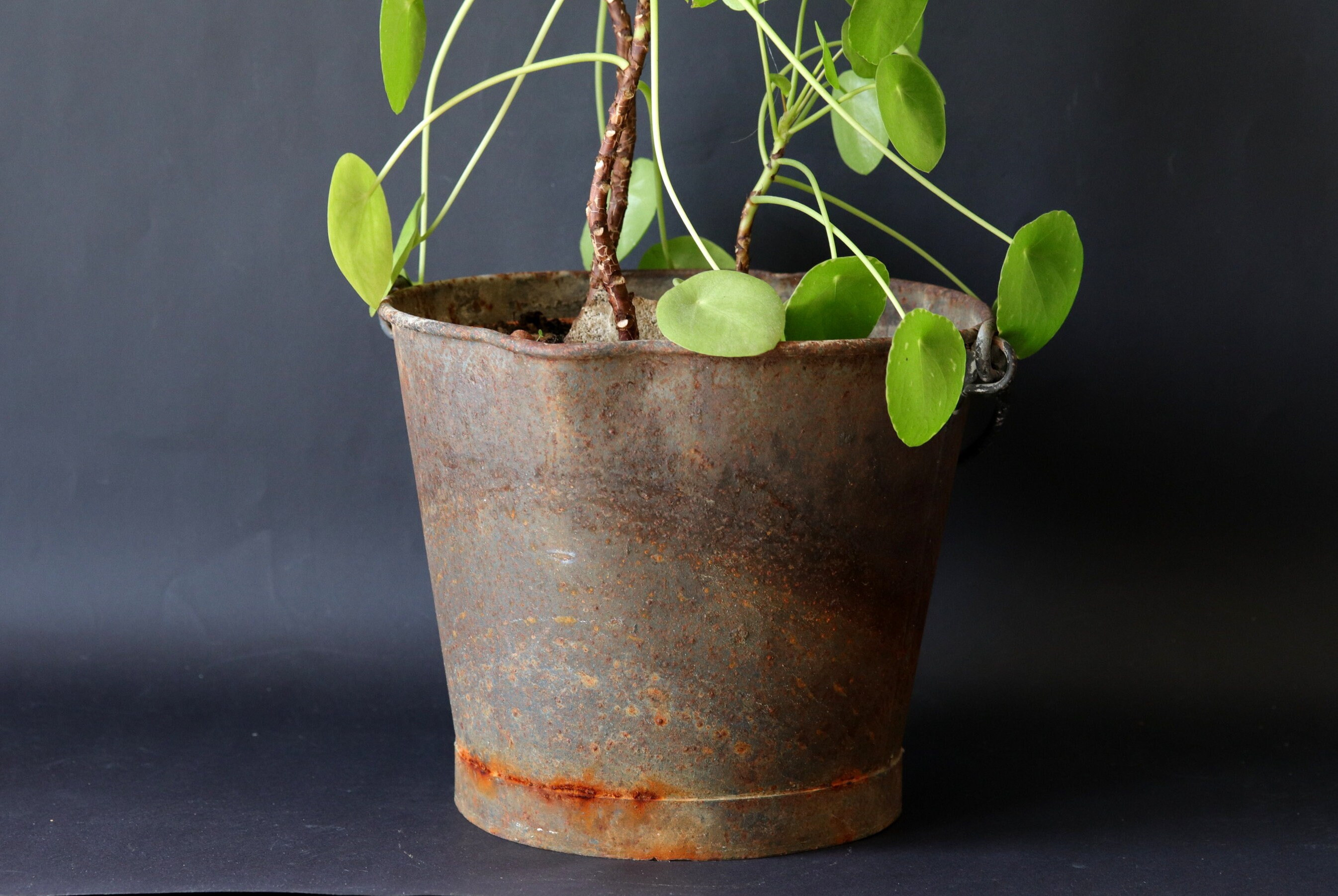 Français Seau en Métal Antique, Rouillé Des Années 1930, Battu, Refroidisseur Unique de Vin, Planteu