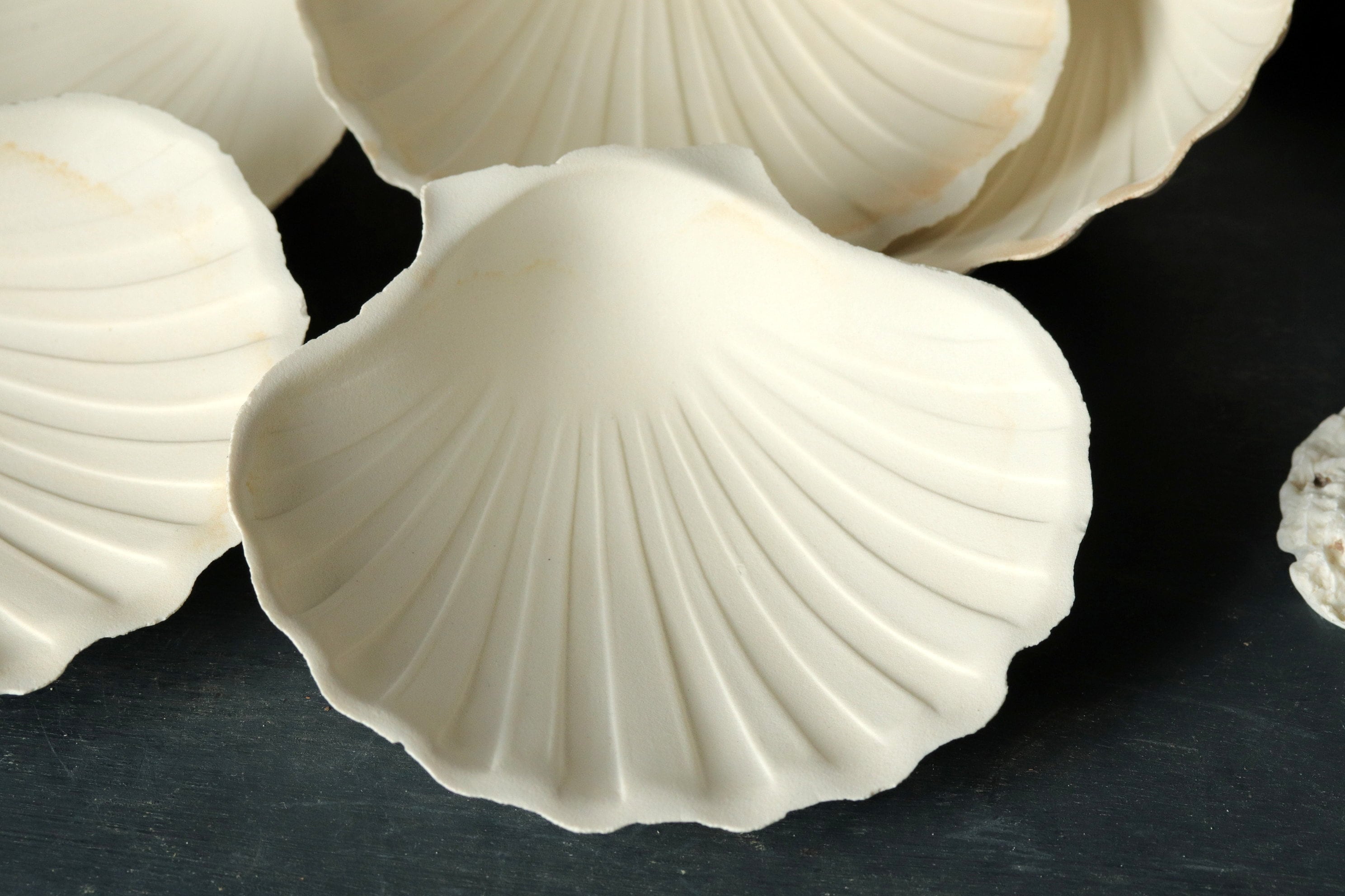 Ensemble de 8 Coquilles Saint-Jacques en Céramique Blanche Vintage, Petites Assiettes Salade Crustac