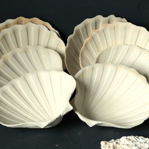 Set of 8 Vintage White Ceramic Scallop Shells, Small Shellfish Salad Plates, Small Dish for Seafood Dinner