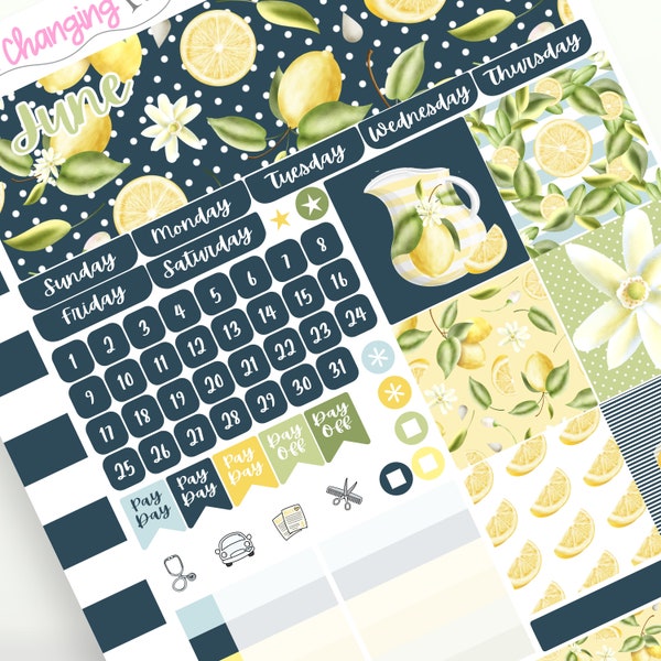 RETIRING Lemon Plum Paper Monthly Kit - Summer Lemon Monthly - June July August Monthly Plum - 8 1/2 x 11 - A5 - 7 x 9 - Plum Paper Planner