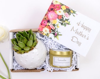 Birthday Gift Box| Happy Birthday Gift| Custom Gift Box| Gift Box| Succulent Gift Box| Succulents| Birthday Gift| Birthday Gift Box
