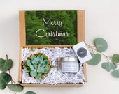 Christmas Mini Gift Box- a succulent in terra cotta pot and a 100 natural scented soy candle