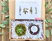 Succulent Aloe You Vera Much Friend Gift Succulent Gift Box Soy Candle Gift Send a Gift Box