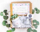 My Life Would Succ Gift Box Best Friend Gift Send a Gift Box Birthday Gift Box Just Because Gift Face Planter Succulent Soy Candle