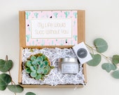 Succulent Gift Box Trending Gift Soy Candle Gift Gift For Her Gift For Mom Gift For Sister Gift