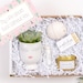 Gift Box | Best Friend Gift|Send a Gift Box| Happy Birthday|Gift Box| Gift Set | Gift For Her | Gift For Birthday| Gift For Women 